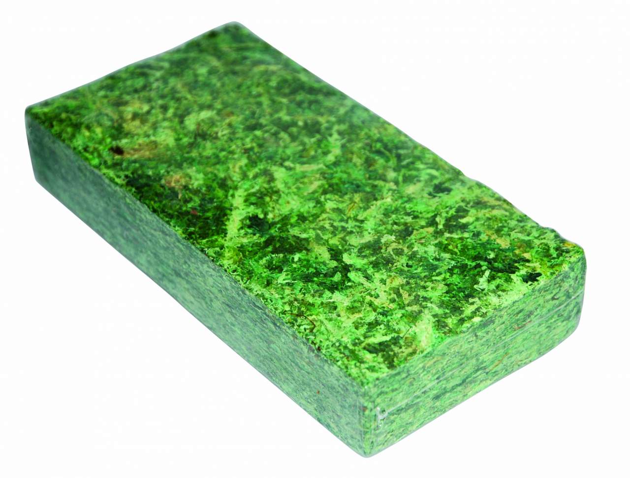 Sphagnum- & Waldmoos
